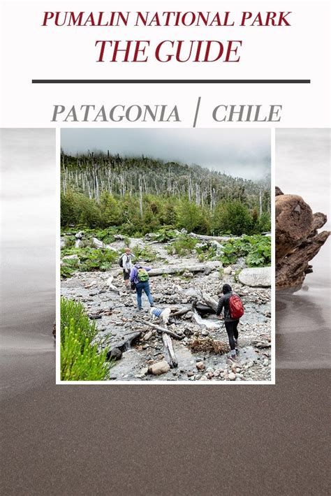 Are You Planning A Trip To Patagonias Pumalin Park One Of The 17