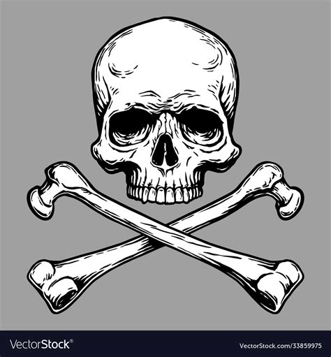 Jolly Roger Pirate Skull Head And Crossed Bones Vector Image