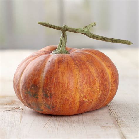 Realistic Large Artificial Pumpkin Table And Shelf Decorations Fall