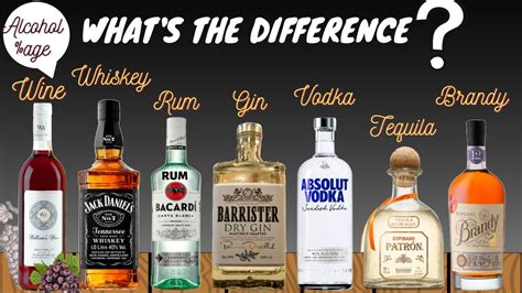difference between alcoholic beverages wine whiskey rum gin vodka tequila brandy alcohol