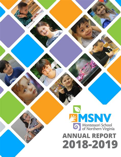 2018 2019 Msnv Annual Report By Montessori School Of Northern Virginia