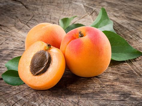 The Meaning And Symbolism Of The Word Apricot