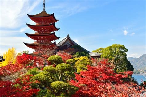 Momijigari Admiring Autumn Leaves In Japan Matcha Japan Travel