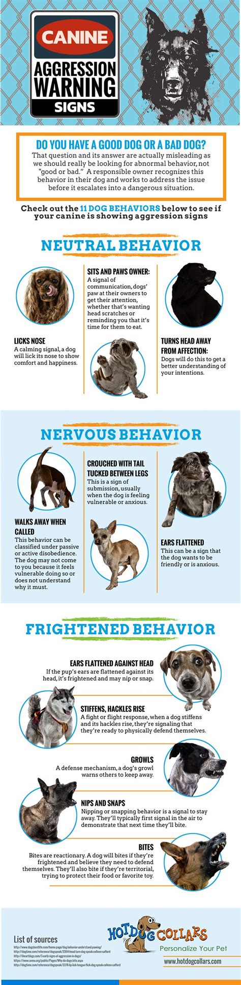 Infographic Top Canine Aggression Warning Signs