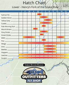 Henrys Fork Hatch Chart For The Lower River