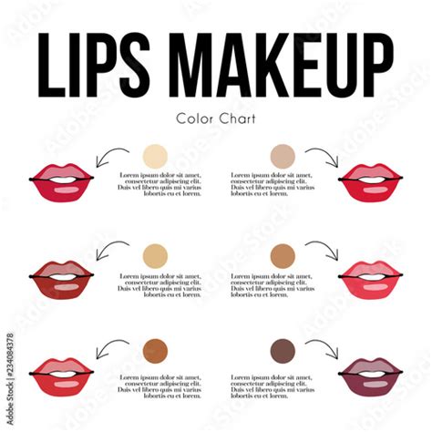 Skin Color Makeup Chart Bios Pics