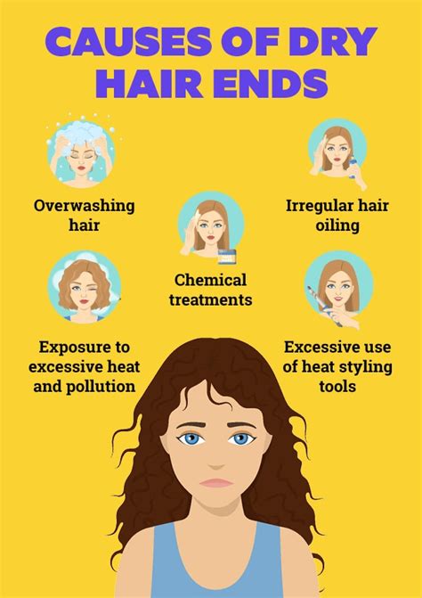 Dry Hair Ends Causes And Treatments Portal Beauty