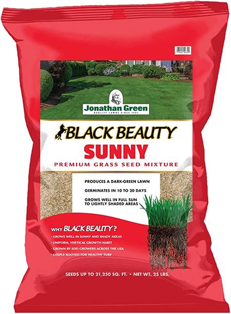 Amazon Com Jonathan Green Black Beauty Sunny Grass Seed Cool Season Lawn Seed Lb