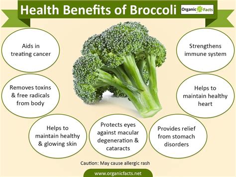 Mya On Twitter Broccoli Provides Us With Several Significant Health Benefits Here Are A Few