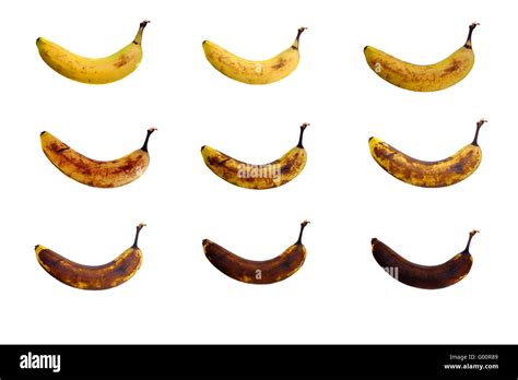 A Grid Of Nine Bananas Of A Different Level Of Ripeness Photographed