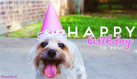 It's fast, it's free, and it's fun! Free Happy Birthday eCard - eMail Free Personalized ...