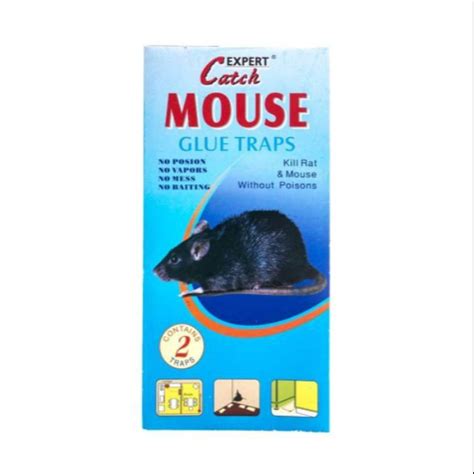 Jom tengok 8 cara halau tikus sesuai diamalkan di malaysia ni! Expert Catch Mouse Glue Traps Gam Pelekat Perangkap Tikus ...
