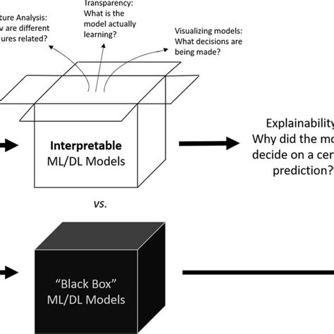 Black Box Ai Models Versus Interpretable And Explainable Ai Models Dl