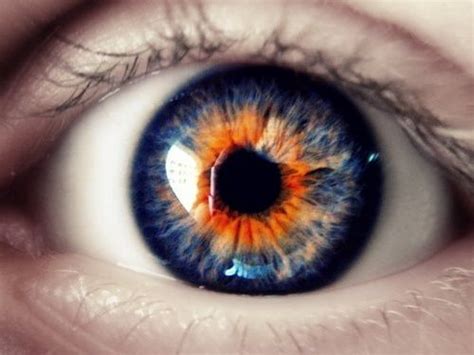 Colors Orange And Blue By Eva Beautiful Eyes Color Pretty Eyes Cool