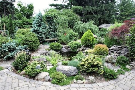 These small but mighty trees are perfect for a petite front or backyard, patio space or small garden. dwarf conifers shrubs zone 7 | dwarf conifer garden in ...