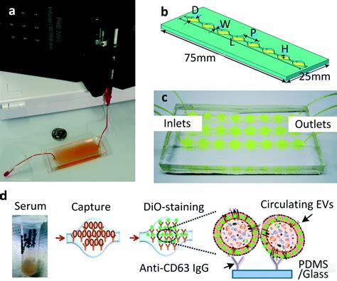 Exosome Isolation A Microfluidic Road Map Lab On A Chip Rsc