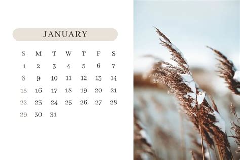 31 Cute January Calendars 2023 Free Printable