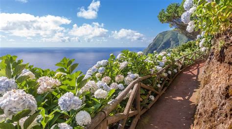 The Azores Jewels Of Portugal By Collette Tours Bookmundi