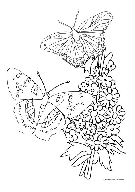 Free Printable Coloring Pages Of Flowers And Butterflies Printable