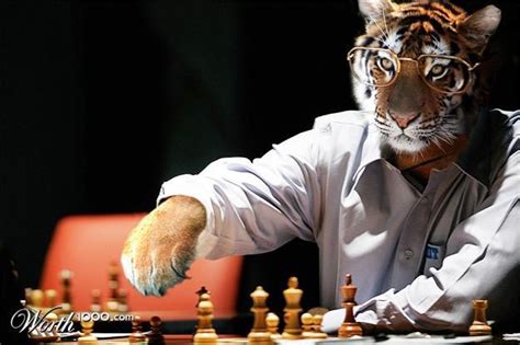 The Chess Tigers