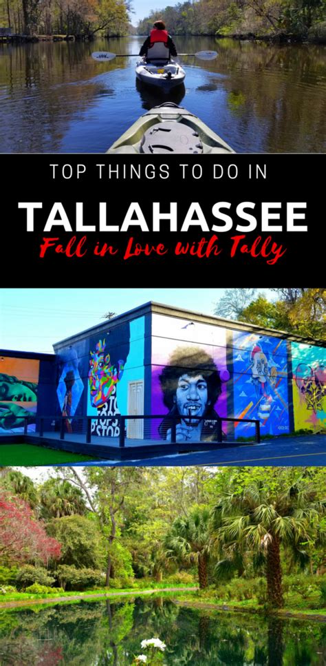 All The Best Things To Do In Tallahassee Florida For Couples Families