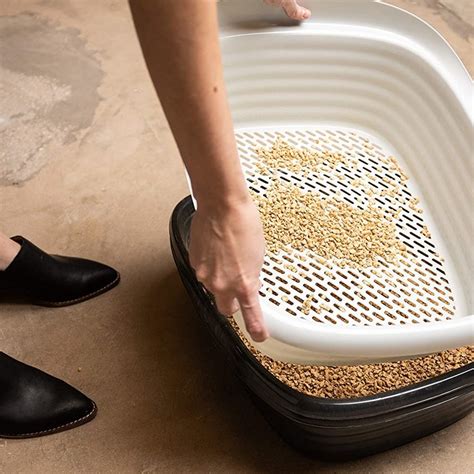 How To Use Sifting Litter Box Ph