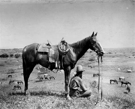 One Of The Last Cowboys Of The Dying Old West Chilling In Texas 1910