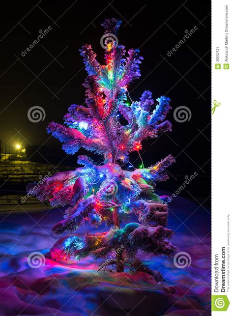 Shining Lights Of A Natural Christmas Tree Covered Snow Stock Image