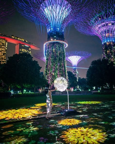 Keep the greens in the refrigerator in an airtight bag lined with paper towels to absorb the moisture to keep fresh for up to five days. Dandelion At Gardens By The Bay: New Free-Entry ...