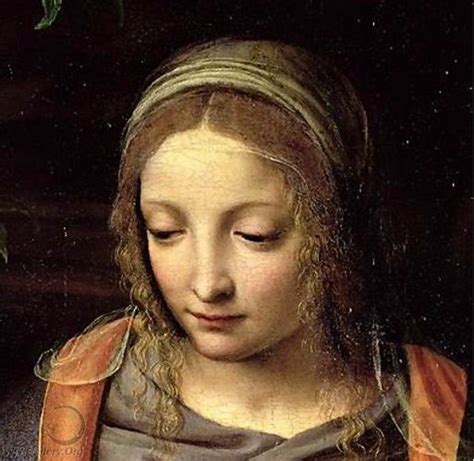 Bernardino Luini Renaissance Portraits Renaissance Art Portrait