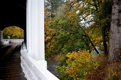 Rainy Day Hikes Eugene Cascades And Oregon Coast