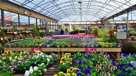 Gardening centres could open within days as industry faces £1.6BN loss