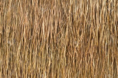 Image Result For Thatch Roof Texture Thatched Roof Modern Roofing