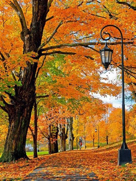 New England Autumn Express Photos