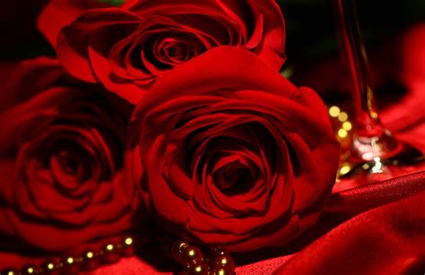 Tons of awesome red and pink roses wallpapers pics to download for free. Red Roses Wallpapers - Wallpaper Cave