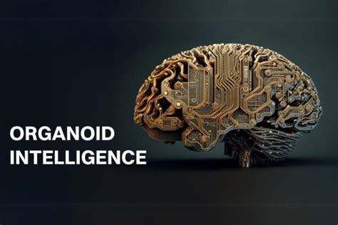 Organoid Intelligence Bridging Biology And Technology