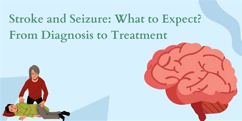 Stroke And Seizure What To Expect From Diagnosis To Treatment