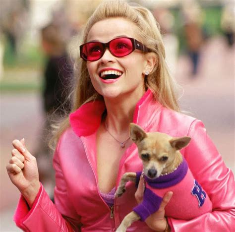 The Cast Of Legally Blonde Then And Now