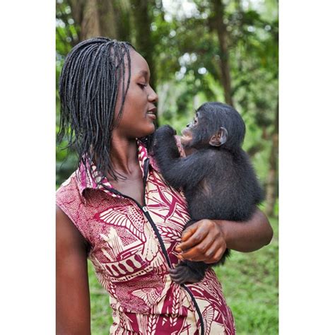lola ya bonobo sanctuary in the democratic republic of congo