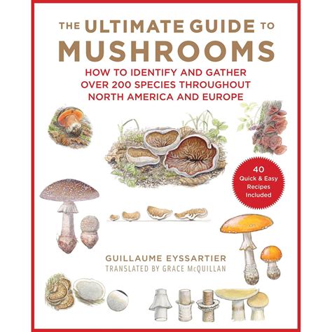 Outdoor Related Titles Field Guides Mushroom Identification