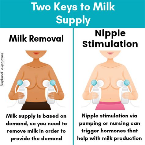 Can Breast Milk Come Back Relactation Pumping Schedules