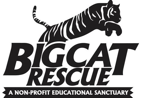 State of florida, this is a sanctuary for the big cats that, for some reason, aren't able to survive in the wilderness. 2 Lions, 4 Tigers Rescued Today by Big Cat Rescue, IFAW ...