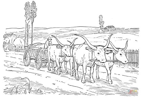 Oxen With Plow Coloring Page