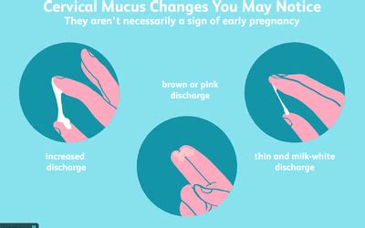 How To Check Your Cervix And Cervical Position