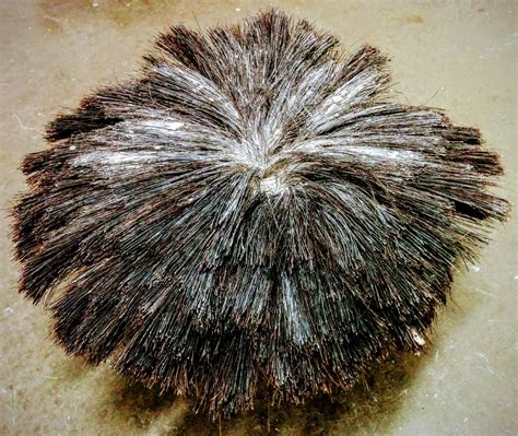 Crows feet, stomp texture, slap brush, and panda paw. Picture of a Rosebud Drywall Texture brush from the bottom ...
