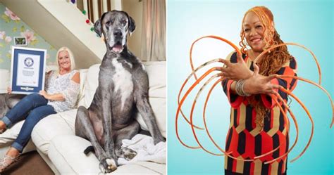 25 Guiness World Records So Weird Youll Wonder How Anyone Thought To