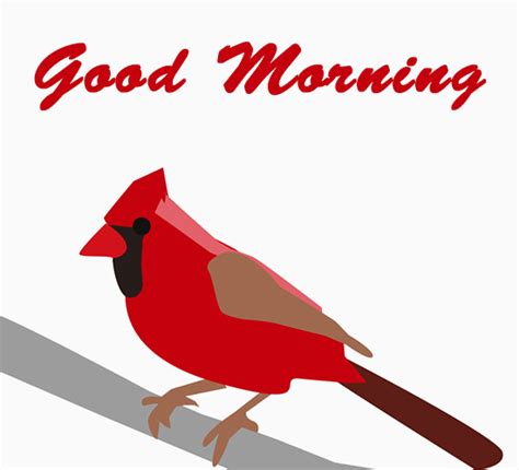 Good Morning Cardinal Free Good Morning Ecards Greeting Cards 123