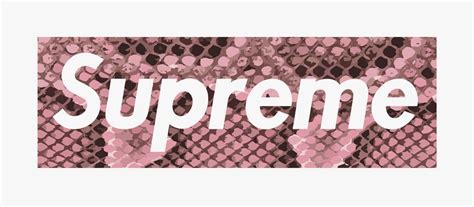 Supreme Stores Across The World Hypebeast