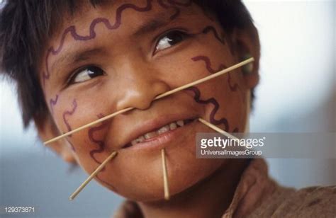 Yanomami Facial Piercings Bbc Biologa Indignacion