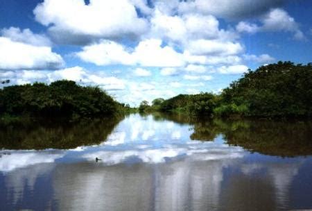 We would like to show you a description here but the site won't allow us. Venezuela y sus Maravillas: Río Orinoco